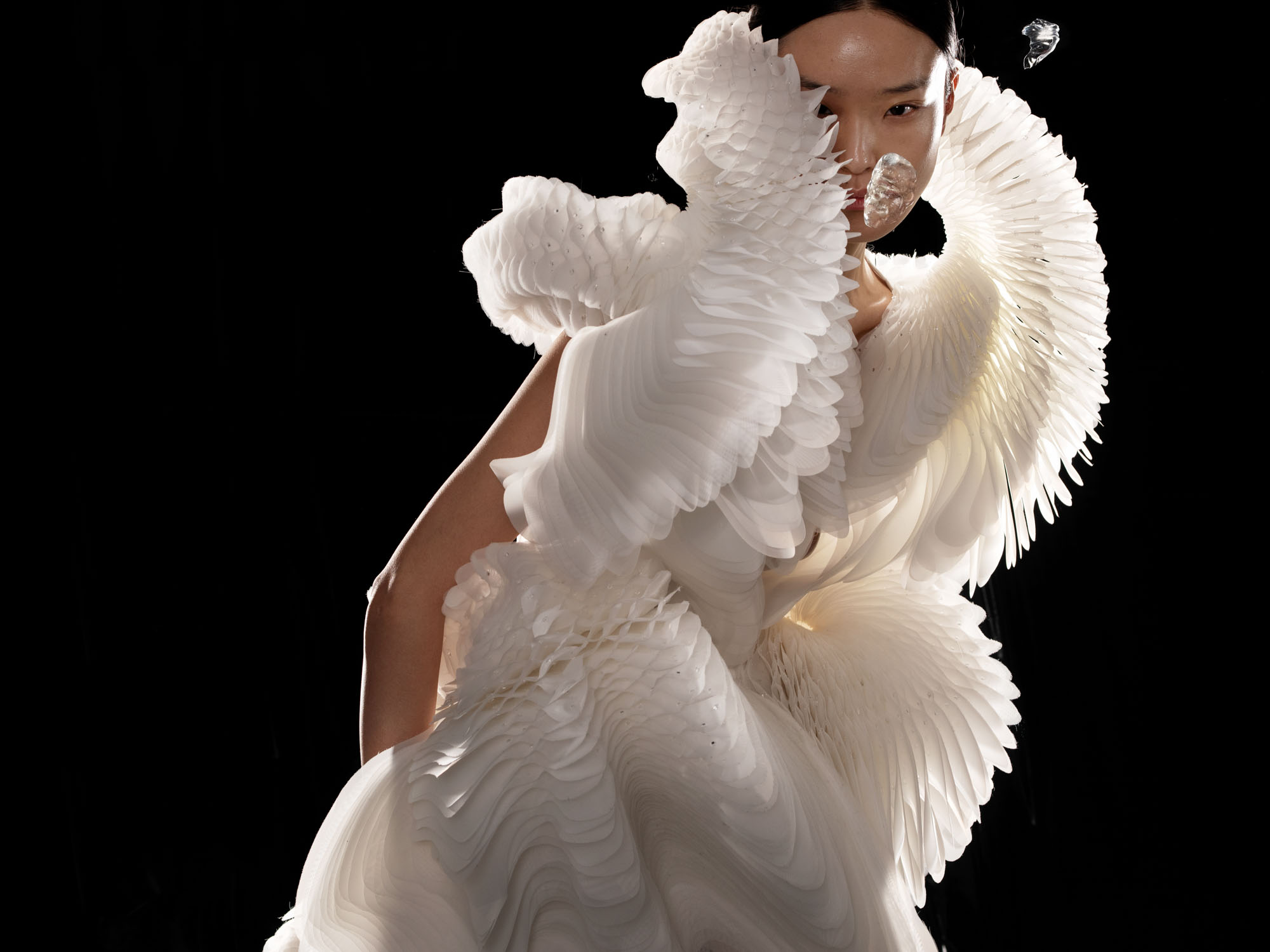 Iris van Herpen image