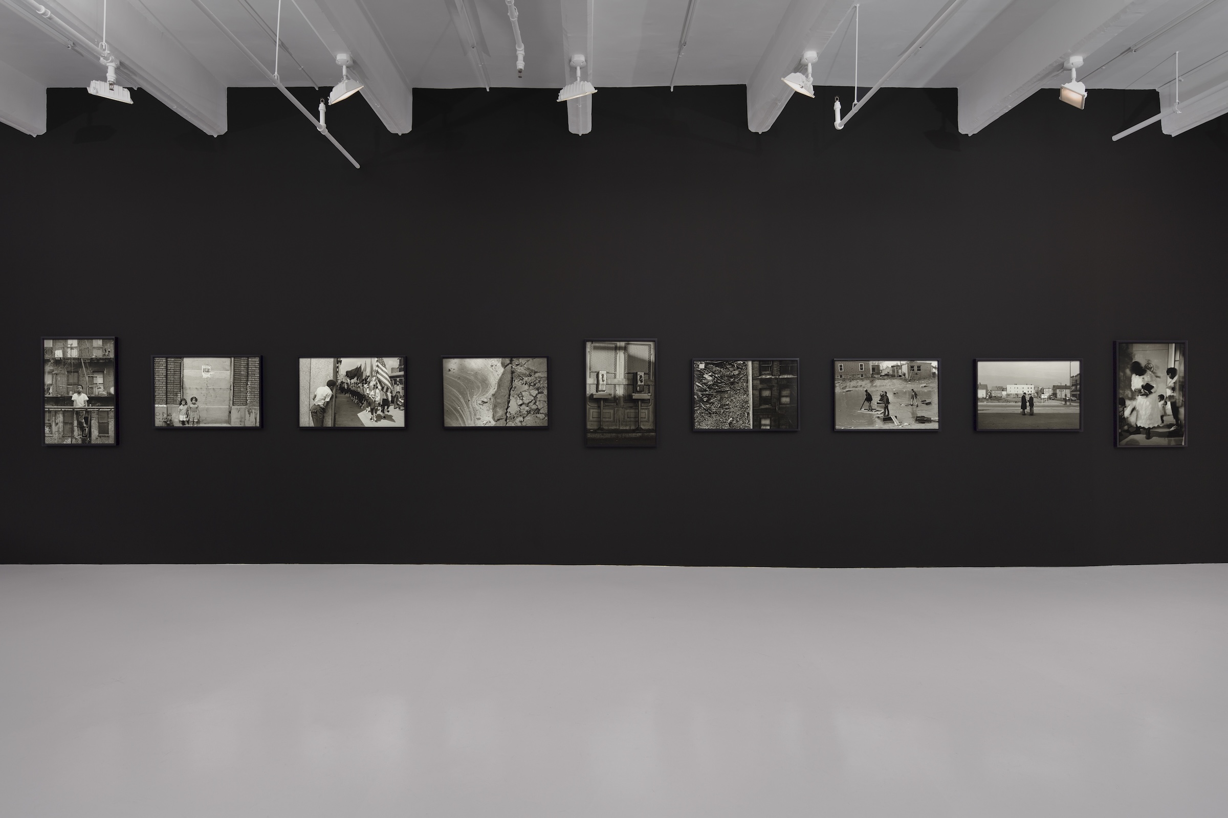 Large paintings hanging on a wall at Nicola Vassel Gallery.